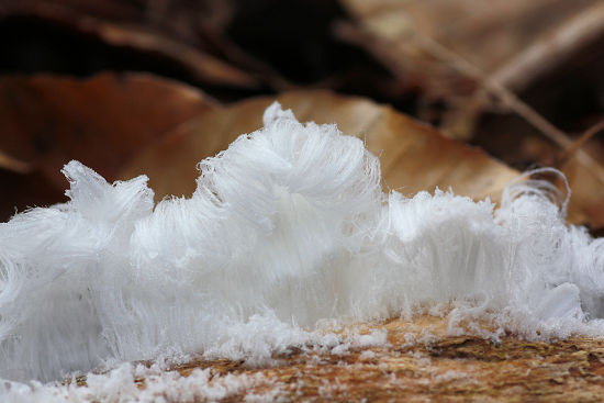 Haar-Eis
